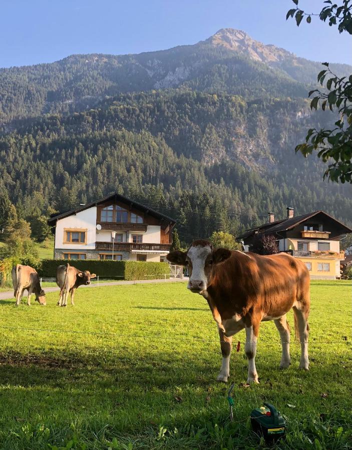 Fritz Apartments "Haus Bergblick" ヘルマゴル エクステリア 写真